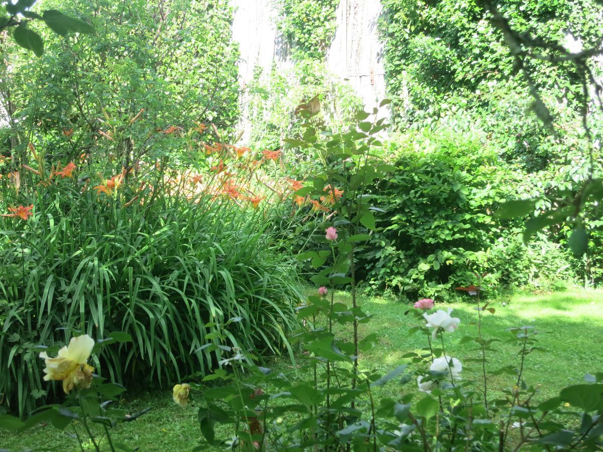 Отель Les Jardins De Lily Сен-Леонар-де-Нобла Экстерьер фото