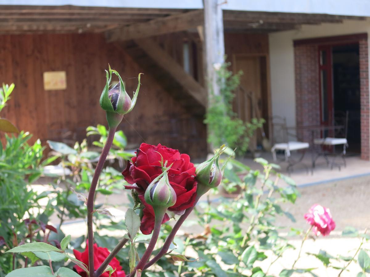 Отель Les Jardins De Lily Сен-Леонар-де-Нобла Экстерьер фото